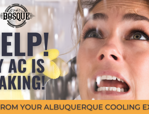 Help! My AC is Leaking! | Tips from Your Albuquerque Cooling Expert